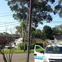 Gallery - Pole Replacement